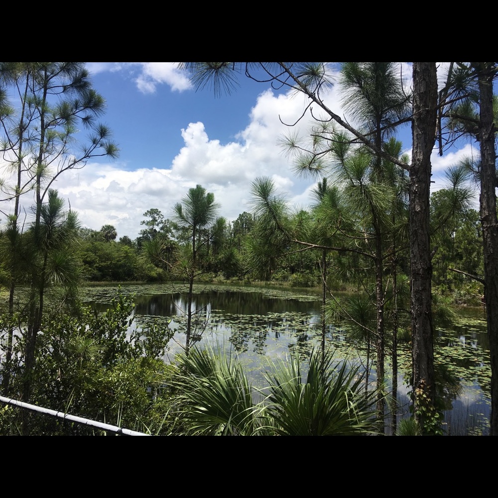 Meet your Posher, Judith