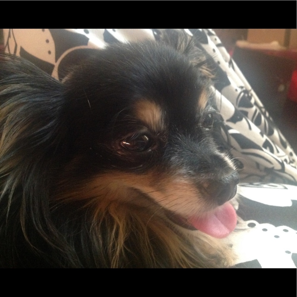 Meet your Posher, Linda