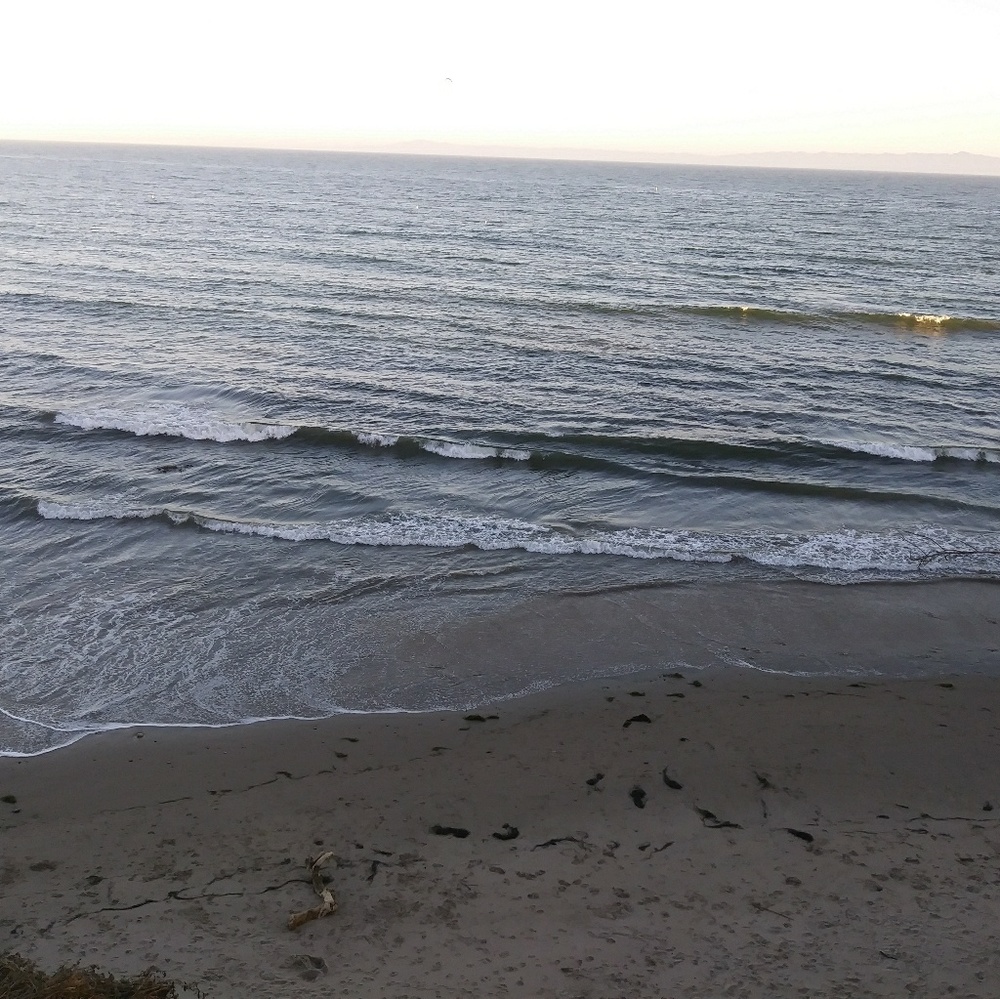 Meet your Posher, Jani