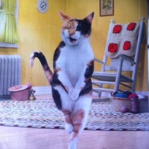 Meet your Posher, Huong