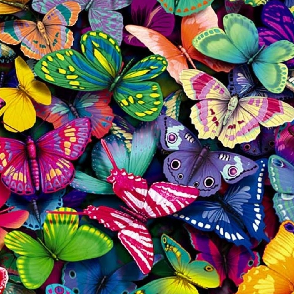 Meet your Posher, Kimimela