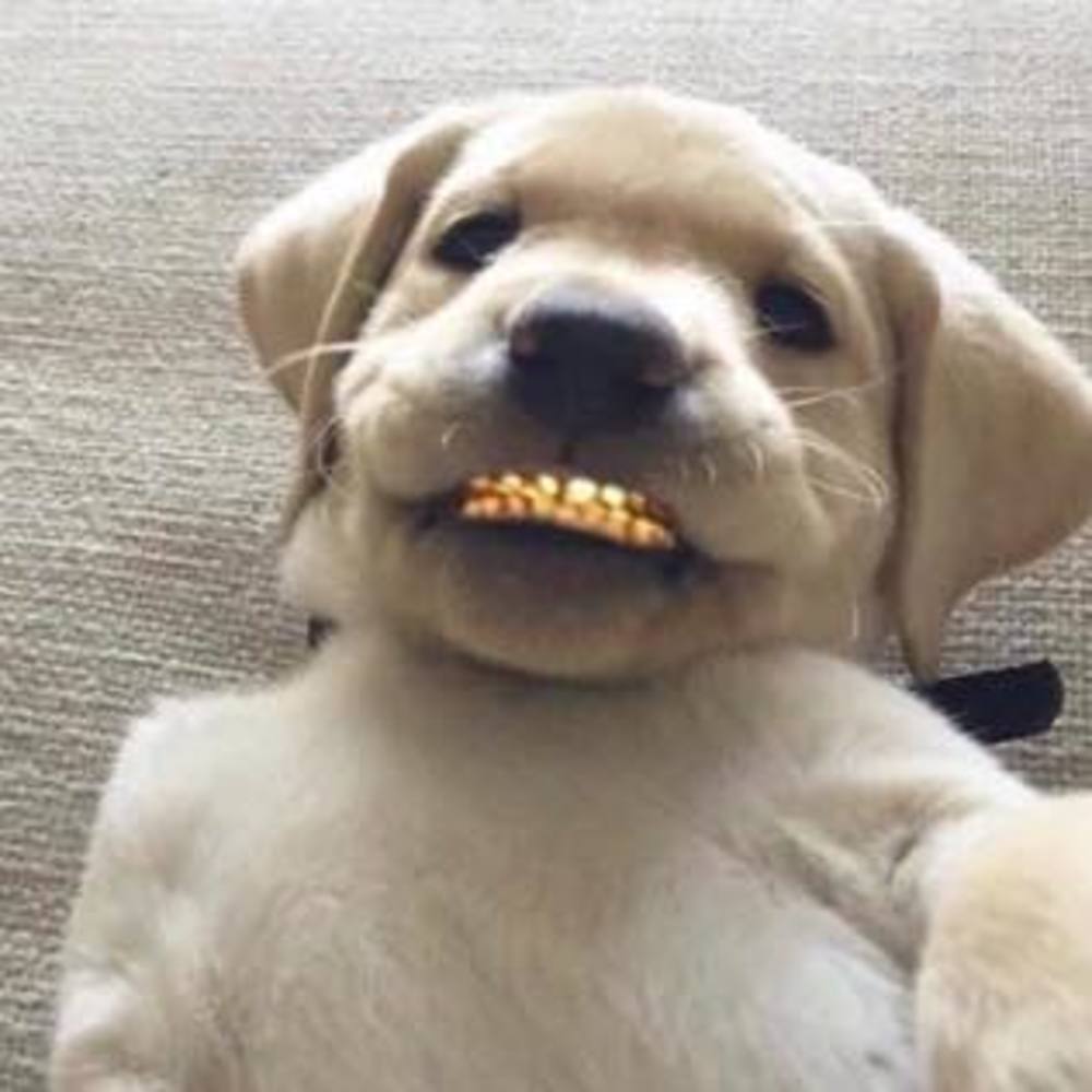 Meet your Posher, Jonny