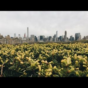 Meet your Posher, Reanna