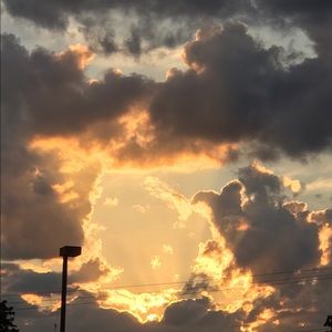 Meet your Posher, Tracey