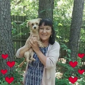 Meet your Posher, Patsy