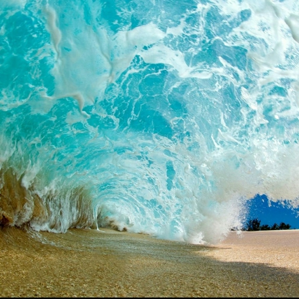 Meet your Posher, Tj