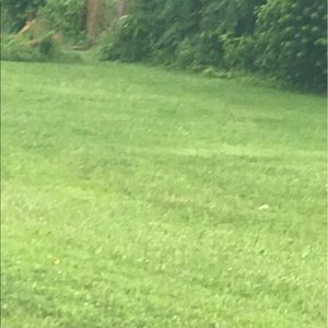 Meet your Posher, Emmanuel