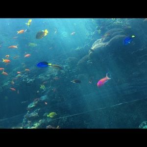 Meet your Posher, Karla