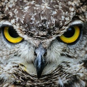 Meet your Posher, Jose