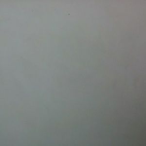 Meet your Posher, Lane