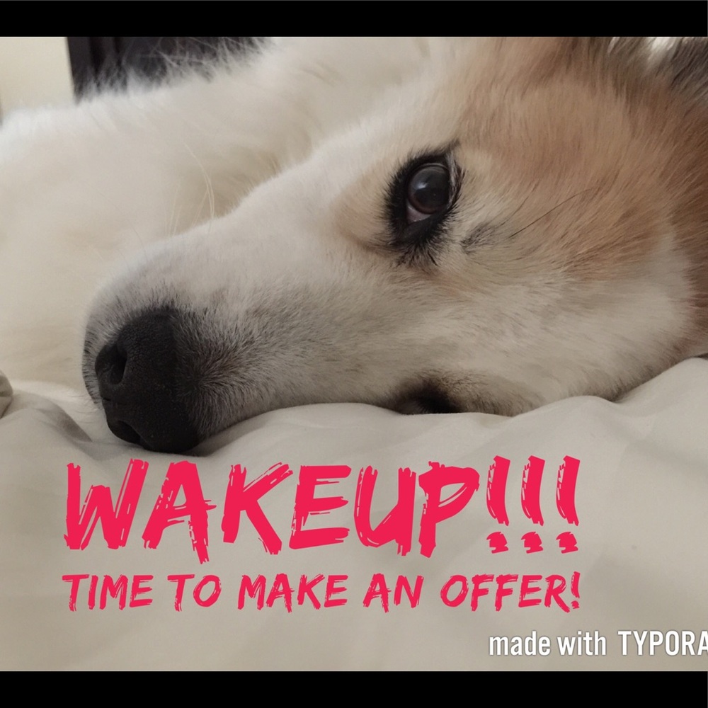 Bandit says, "WAKEUP!!!"