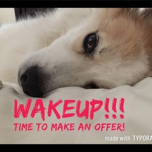 Bandit says, "WAKEUP!!!"