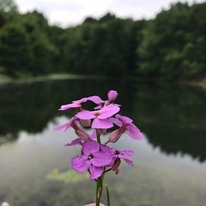 Meet your Posher, Ella