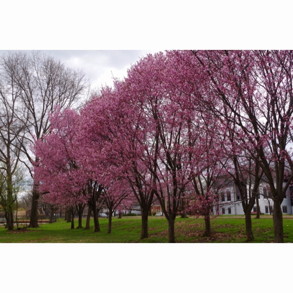 Meet your Posher, Aviva