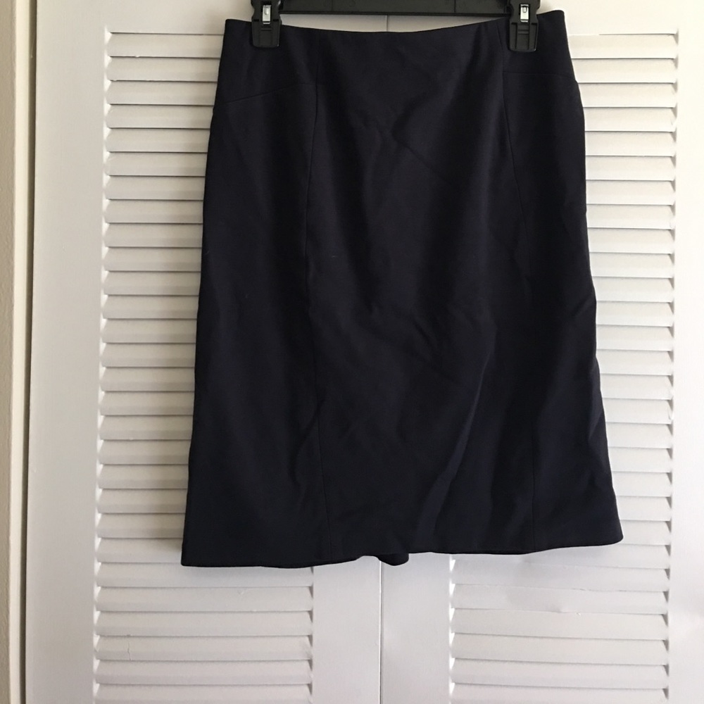 Ann Taylor skirt