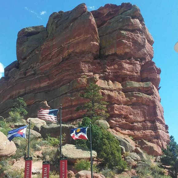 Meet your Posher, Romeo - Picture 1 of 1