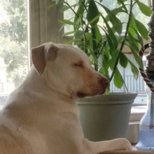 Meet your Posher, Richard