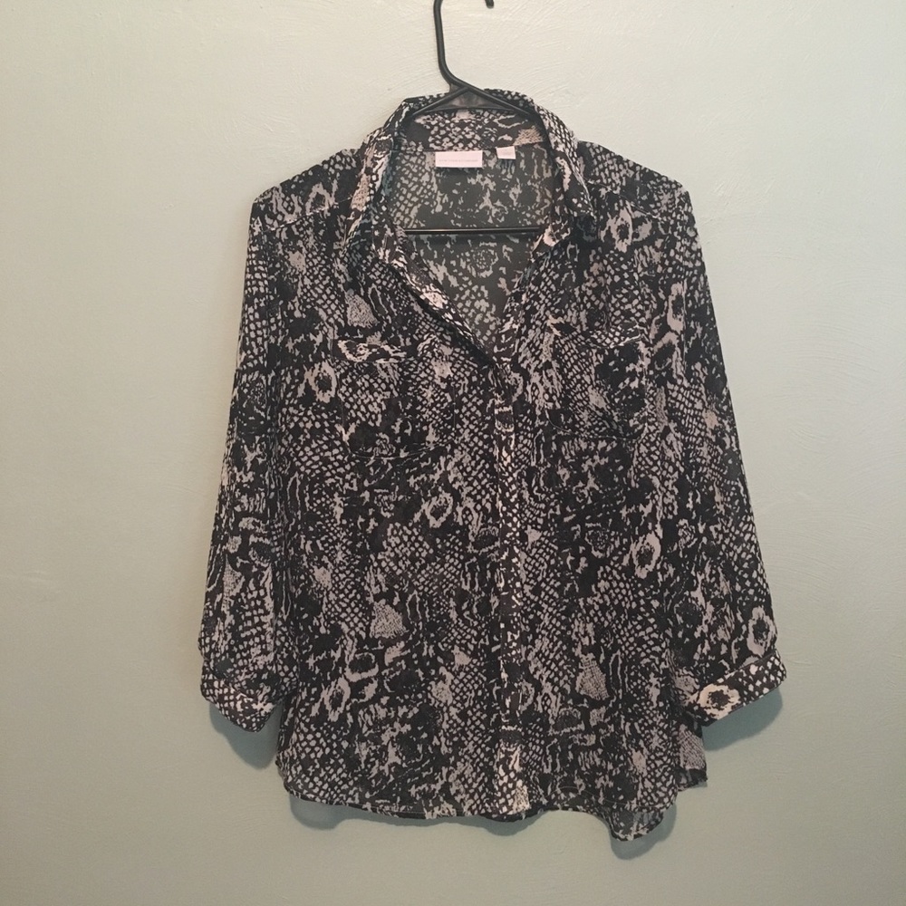Sheer Work blouse