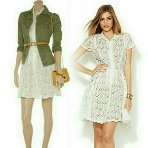 Beautiful BCBG Lace shirtdress