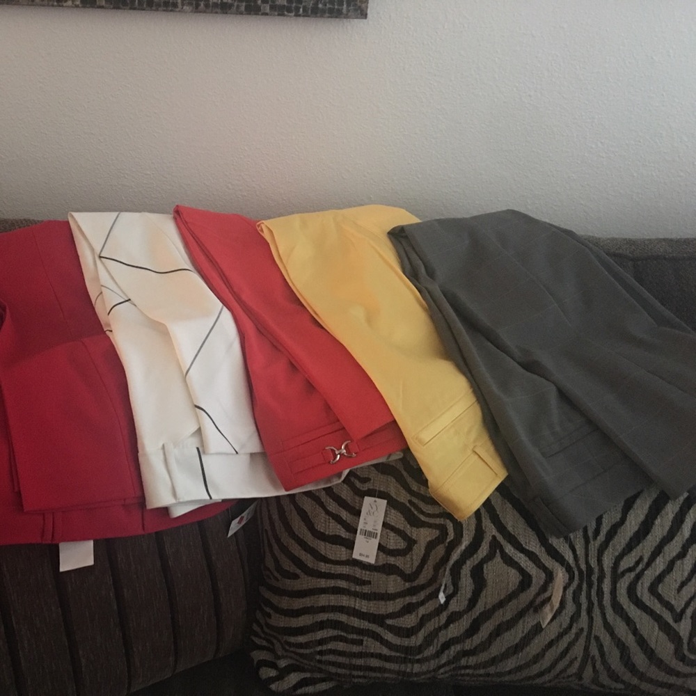 Lot of 5 New York and Co pants