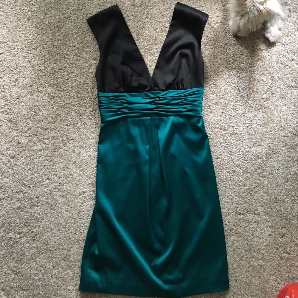 BCBG Dress