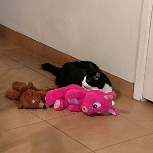 Meet your Posher, Sue