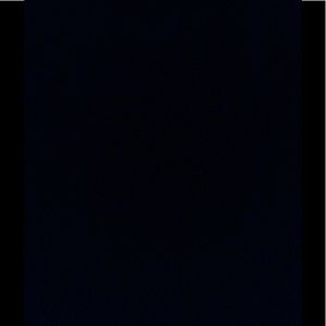 Meet your Posher, Daisy