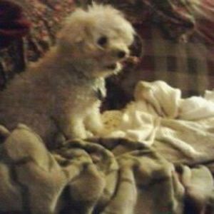 Meet your Posher, Adele