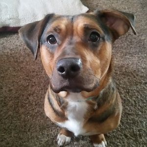 Meet your Posher, Brandy