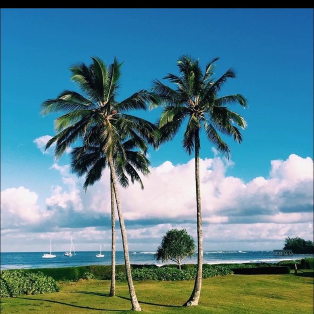 Meet your Posher, Cristina