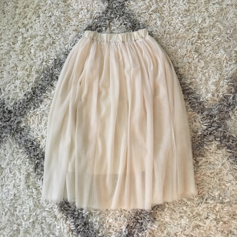 Tulle Skirt