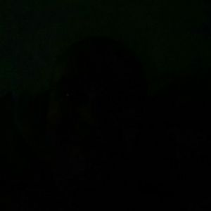 Meet your Posher, Shaun