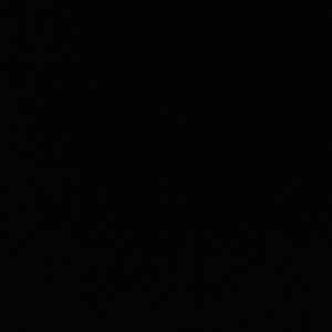 Meet your Posher, Daniela