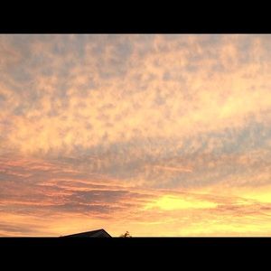 Meet your Posher, Peyton