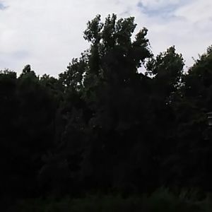 Meet your Posher, Tonya