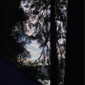 Meet your Posher, Josephine