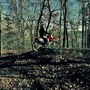 Meet your Posher, Brady