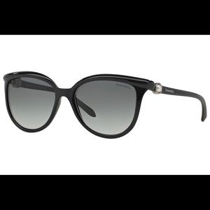Tiffany Sunglasses, 0TF4093H-80013C, Black