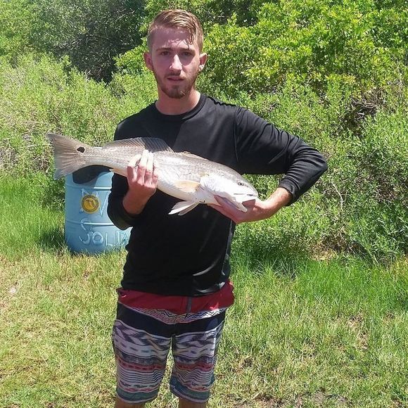 Meet your Posher, John - Picture 1 of 1