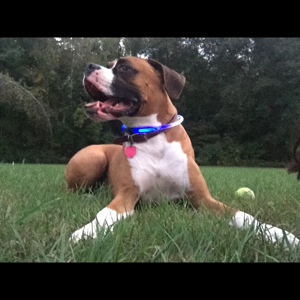 Meet your Posher, Kayla