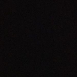 Meet your Posher, Harrison