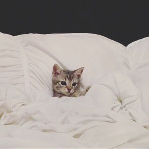 Meet your Posher, Cortney