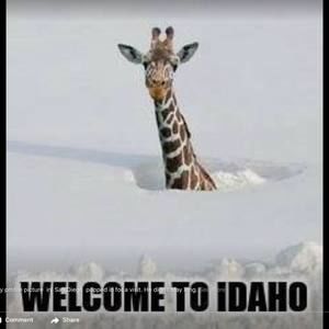 Meet your Posher, Deann curt