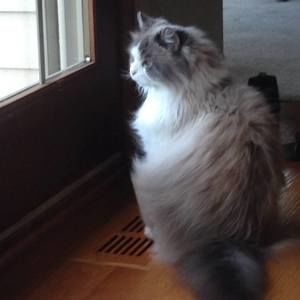 Meet your Posher, Yvonne