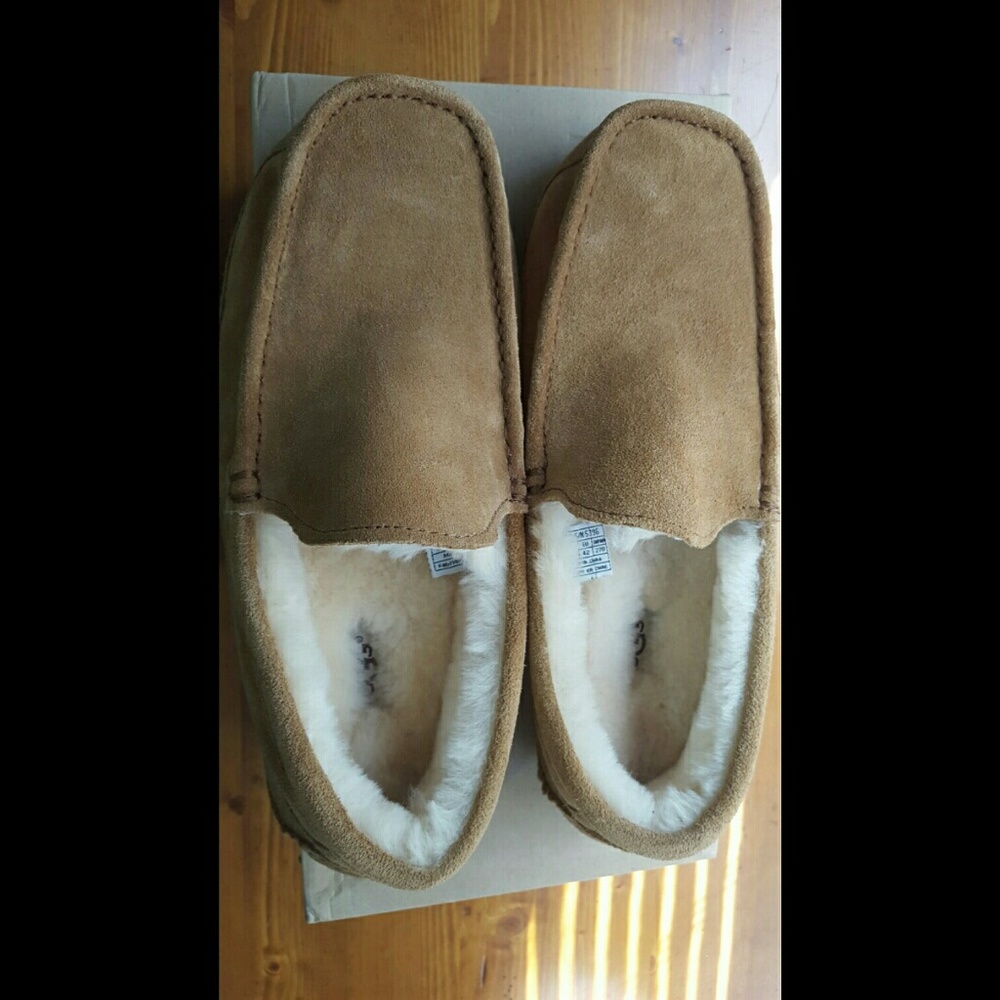 Men's UGG slippers, NIB