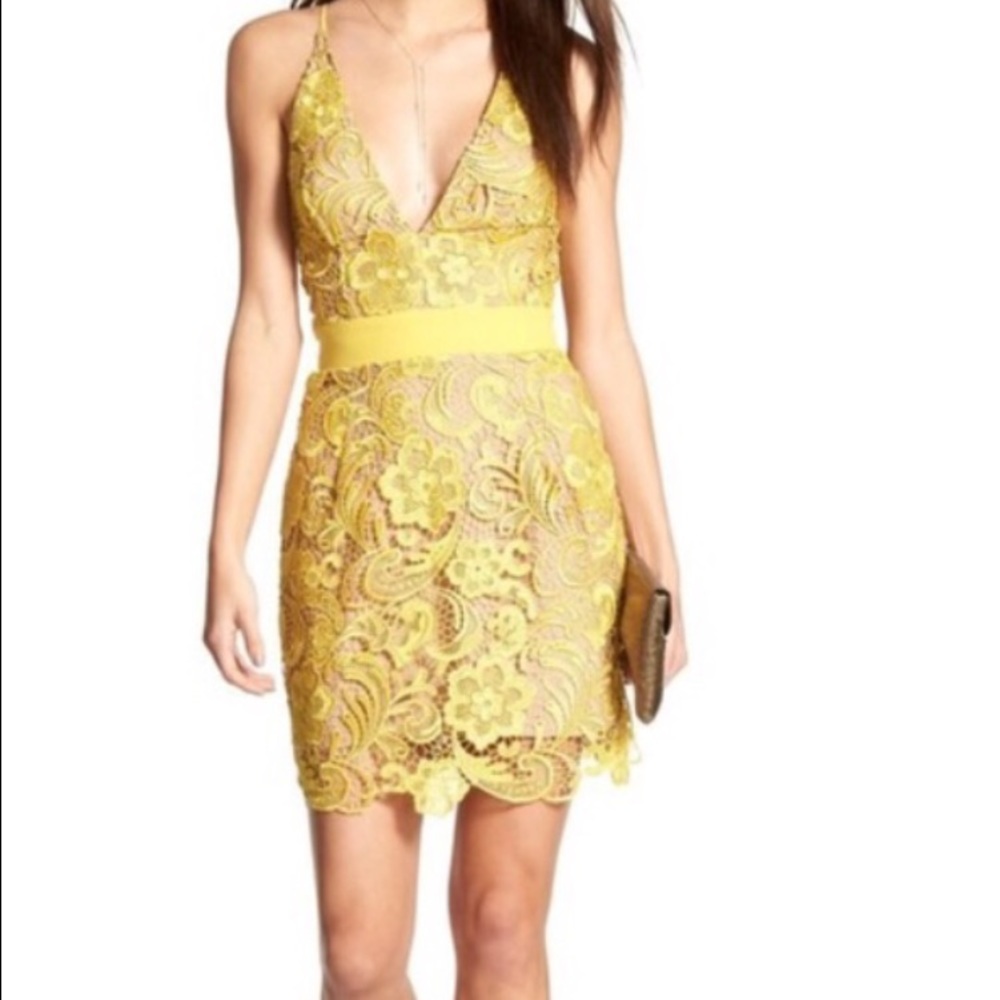 Adorable Dress the Population French Lace Dress 