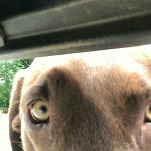 Meet your Posher, Kyla