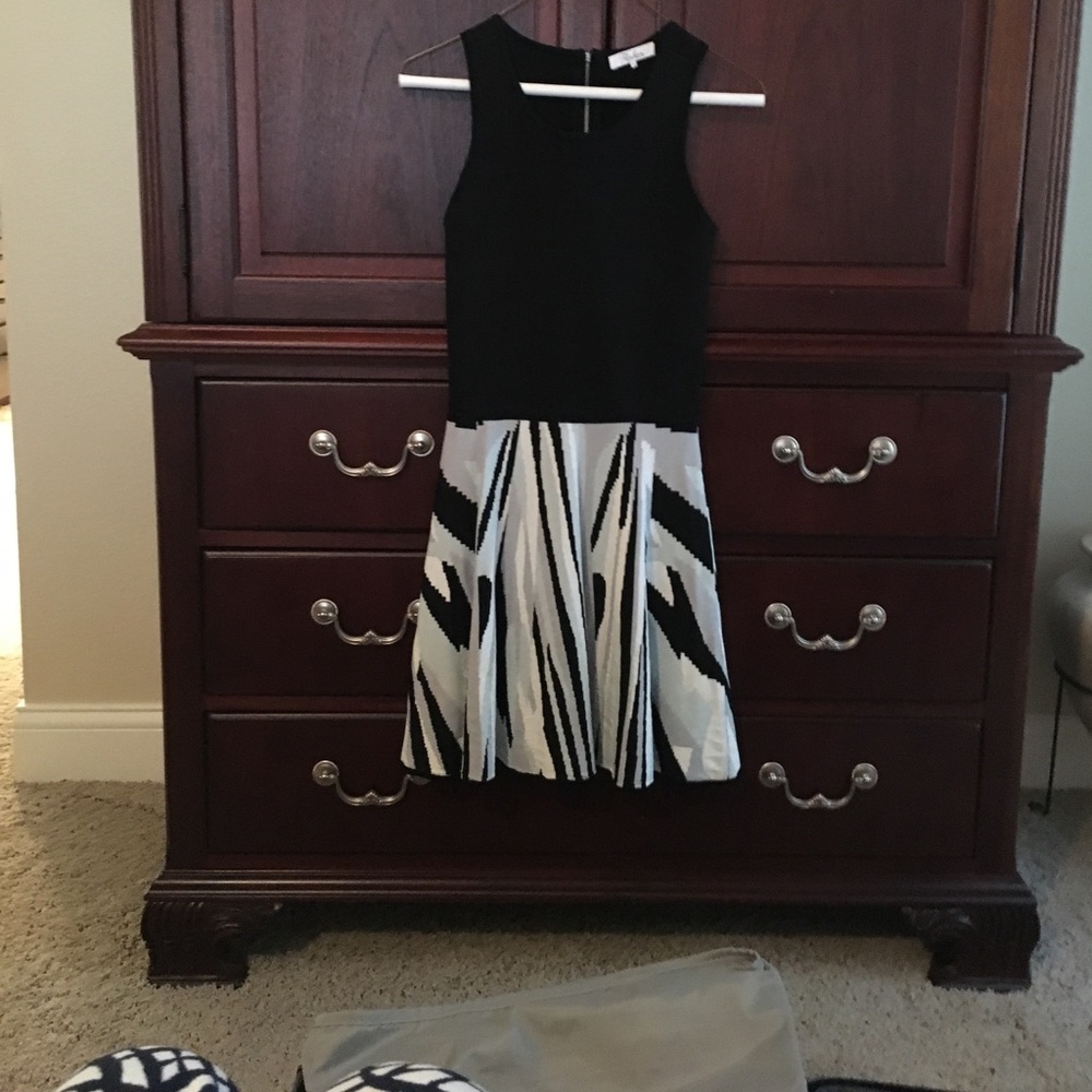 Parker NY designer dress