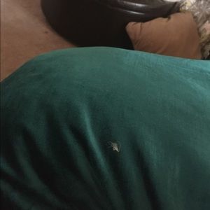 Meet your Posher, Bella