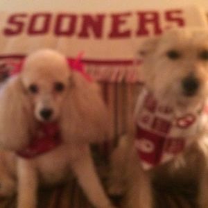 Meet your Posher, Judith